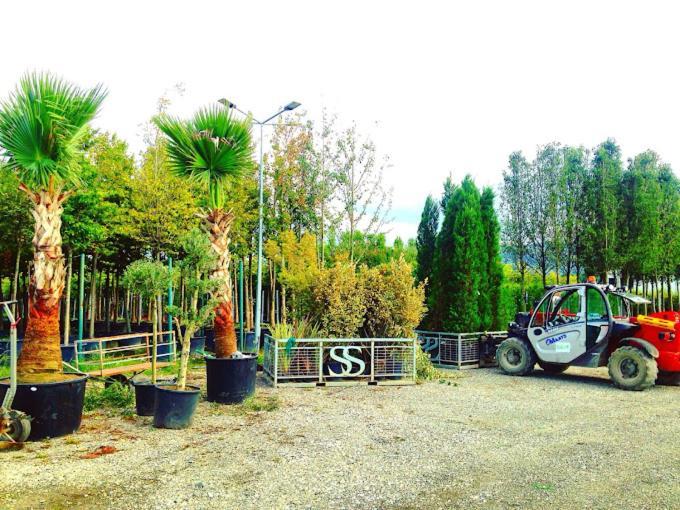 סקרייה Serbesler Botanik, No 1 Comfortable Villa מראה חיצוני תמונה